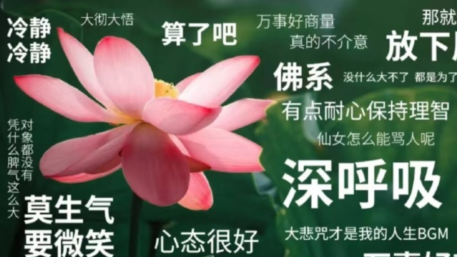 微信图片_20241226234635.png